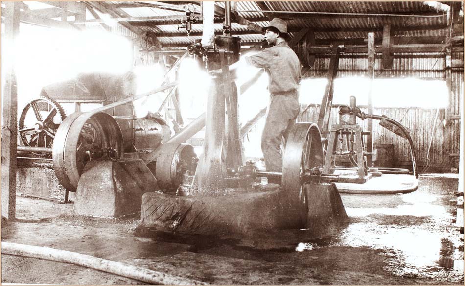 Worker at Hamiltons Ewell Winery circa 1880s
